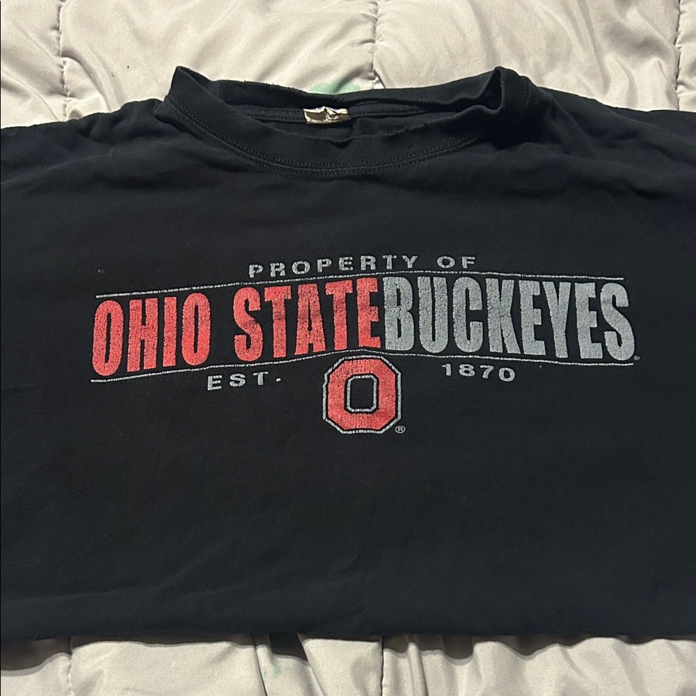 Vintage Ohio State Tshirt